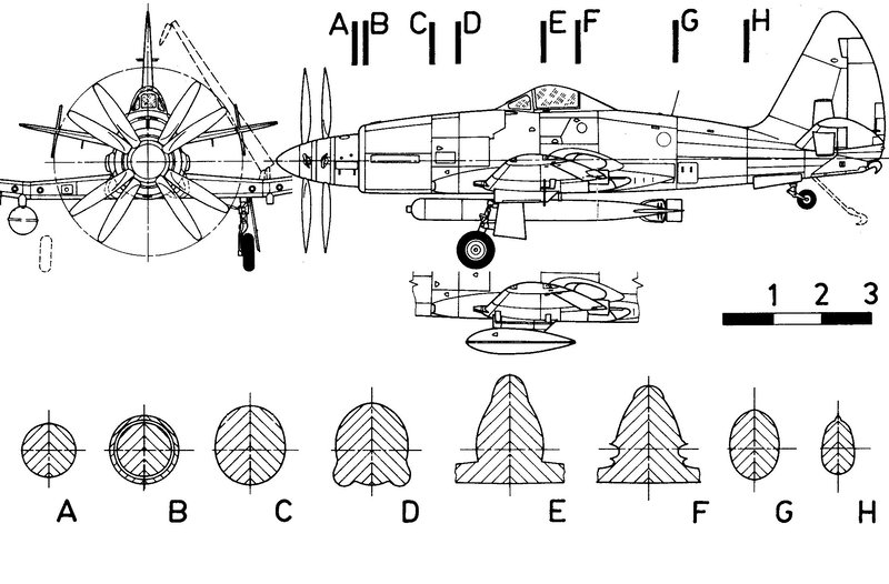 Wyvern-11jpg.JPG