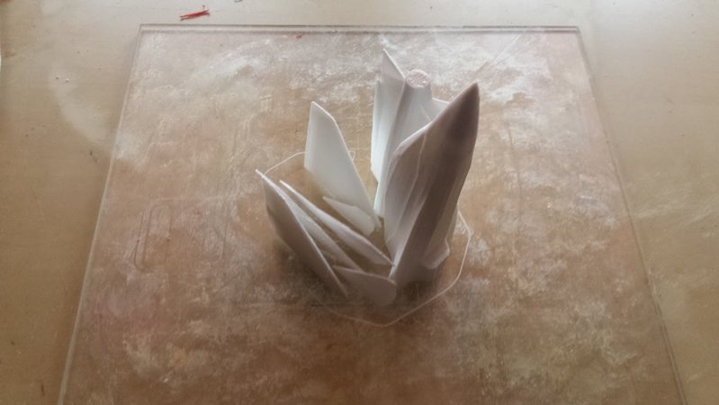 20180322_061929.jpg