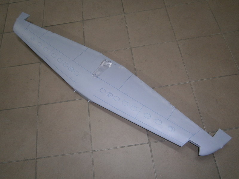 481.JPG