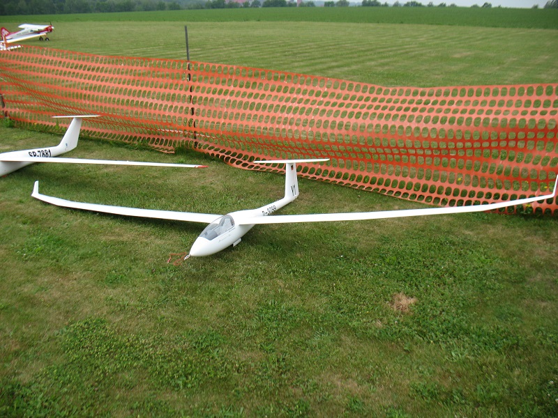 Model 1.jpg