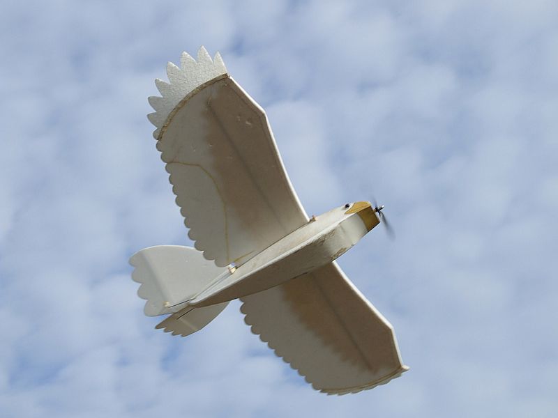 DSCF7434.JPG