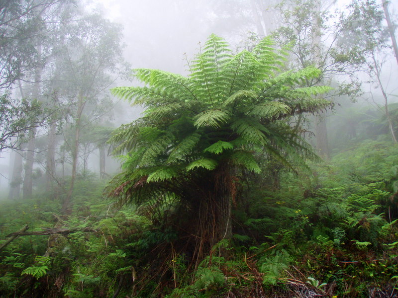 P1120005.JPG