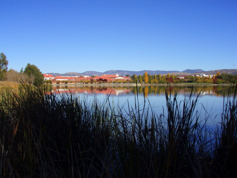 P5090017.JPG