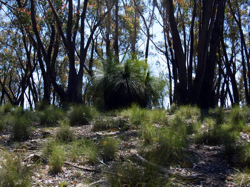PA140145.JPG