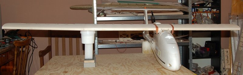 wing5.jpg