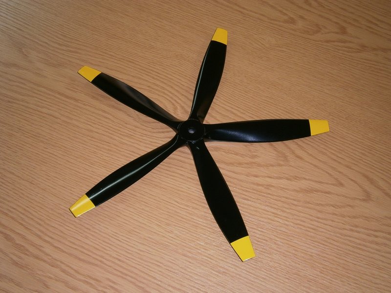 554.JPG