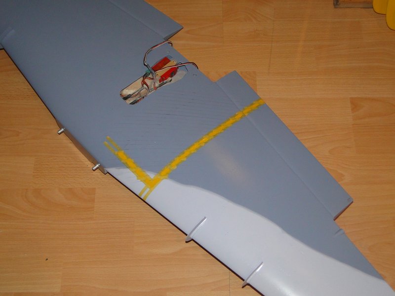 559.JPG