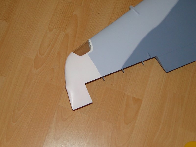 561.JPG
