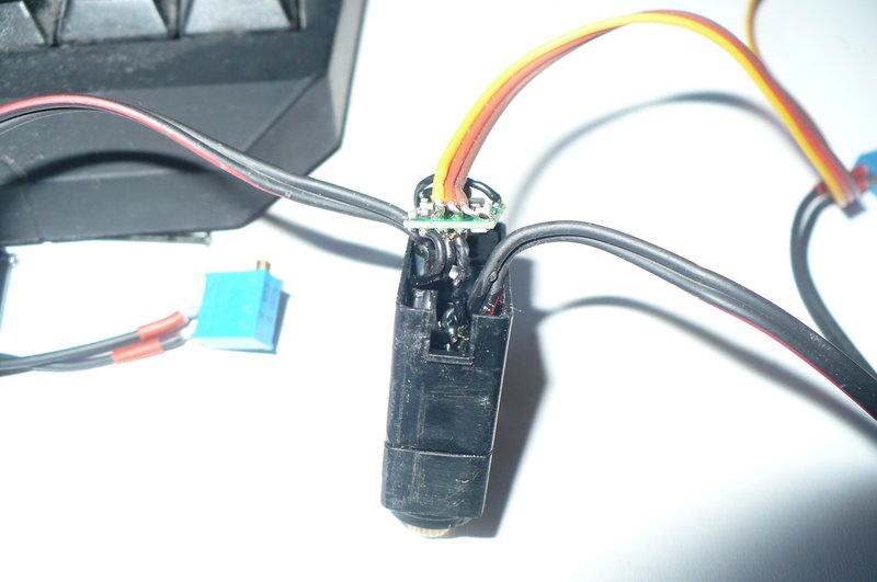P1050455.JPG