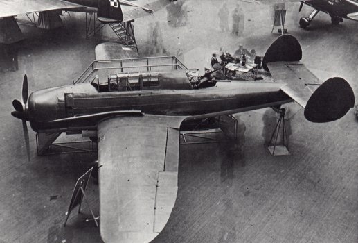 pzl-46_sum.jpg