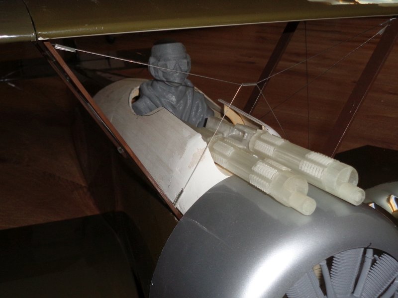 c11.jpg