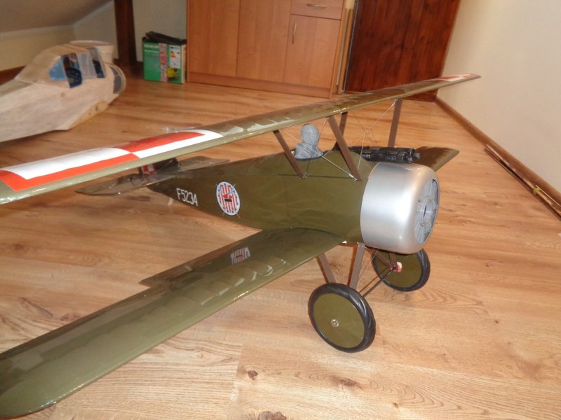 c14.jpg