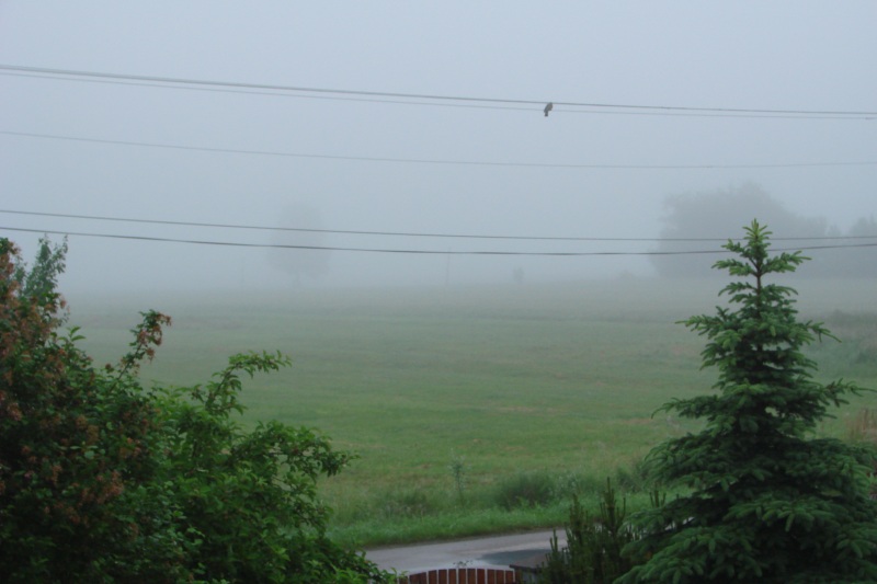 DSC00144.jpg