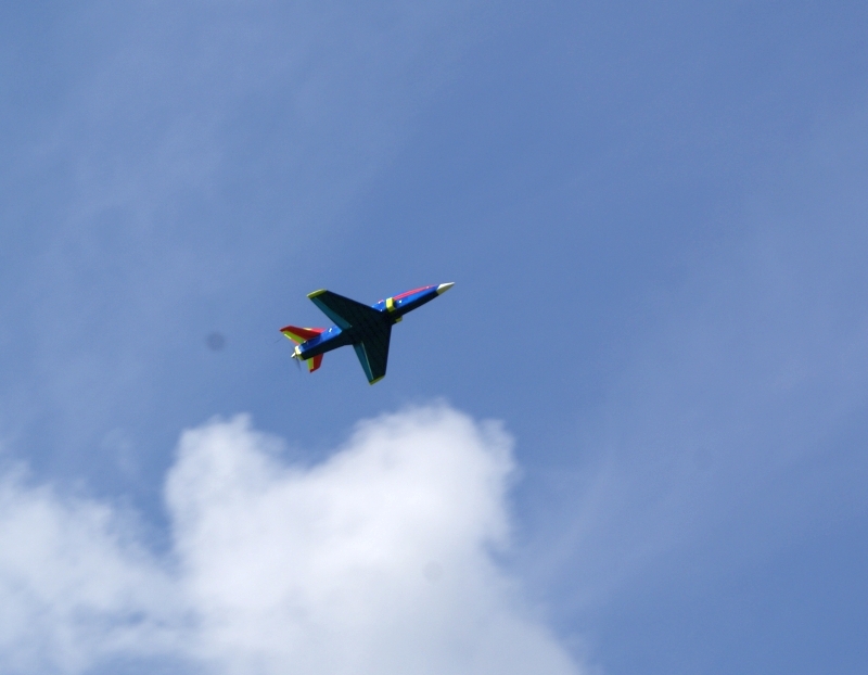 DSC02225.jpg