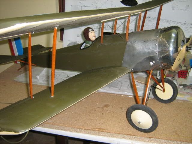 b8.jpg
