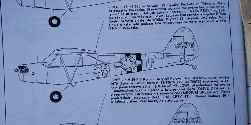 l1 (Copy).jpg