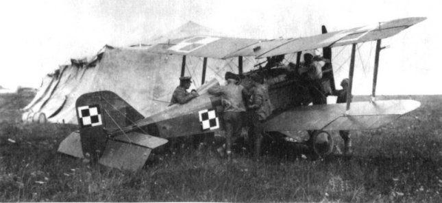 se14.jpg