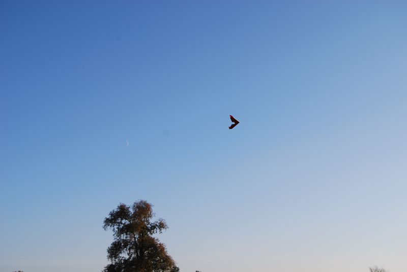DSC_0010.JPG