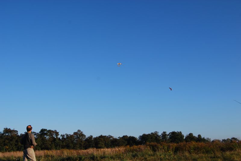 DSC_0016.JPG