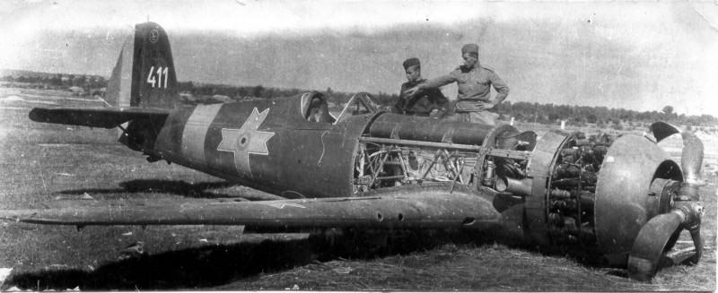 IAR-80-4.jpg