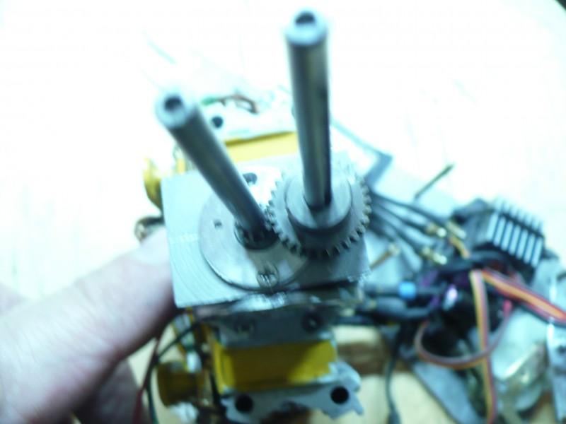 P1080077.JPG