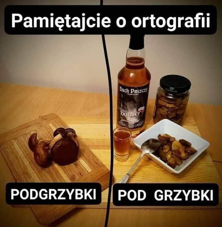 pogrzybki.jpg