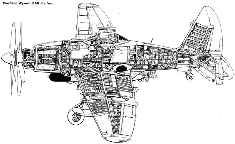Wyvern-xray JPG.JPG