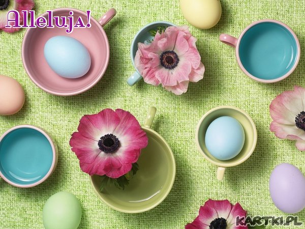 alleluja_57.jpg