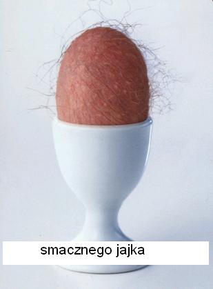 jajko3usys7cp7.jpg