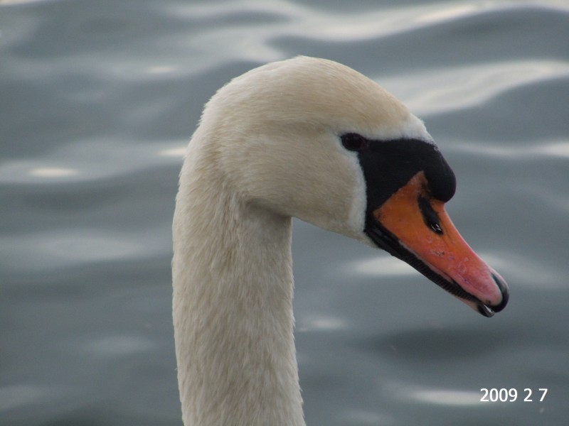 2009_0207_143002.JPG