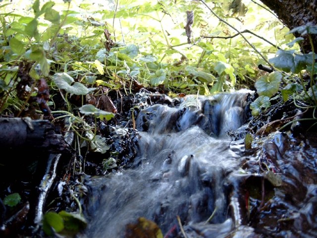 photo_19.jpg