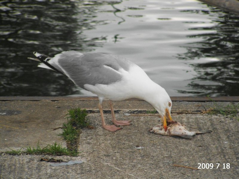 2009_0718_175056.JPG