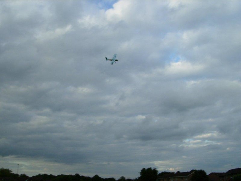 P6150060.jpg