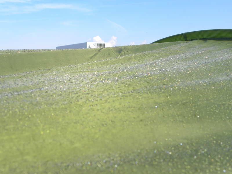 DSCN2529.JPG
