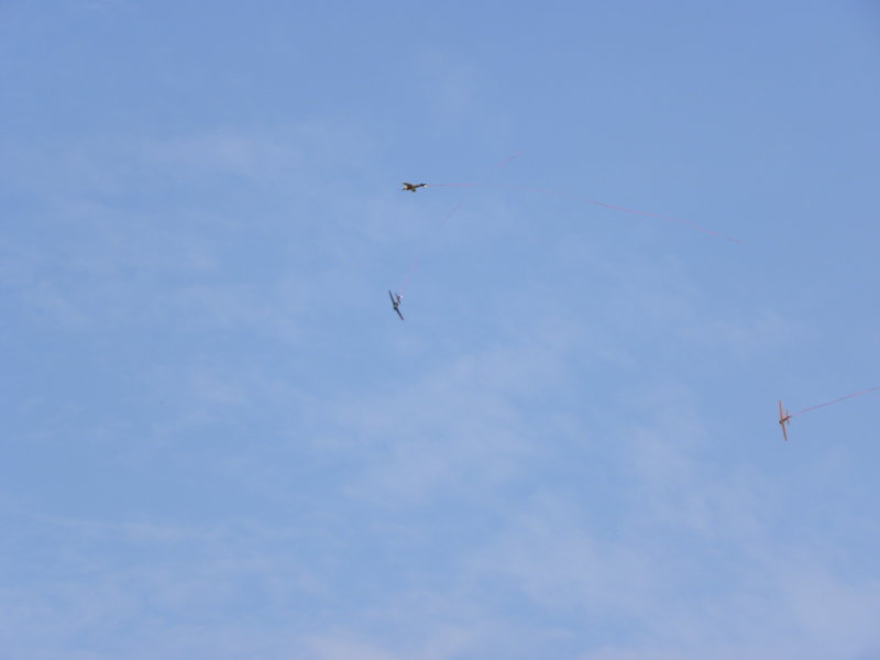 DSCN2710.JPG