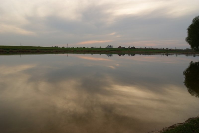 DSC00359.JPG