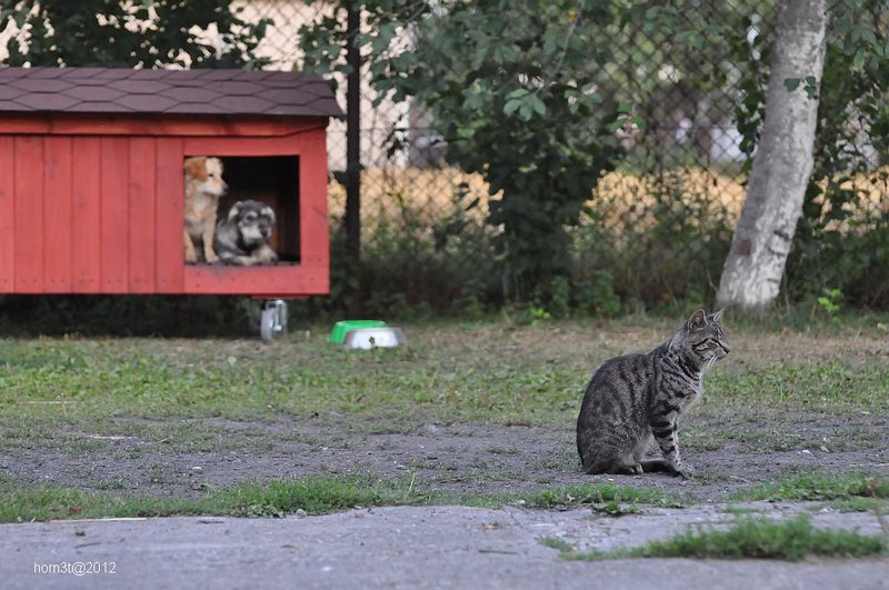 DSC_5768.JPG