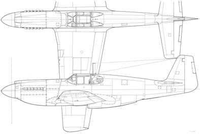 P51B.jpg
