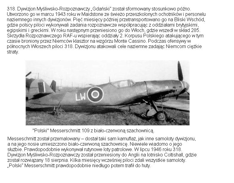 POLSKI BF 109.JPG