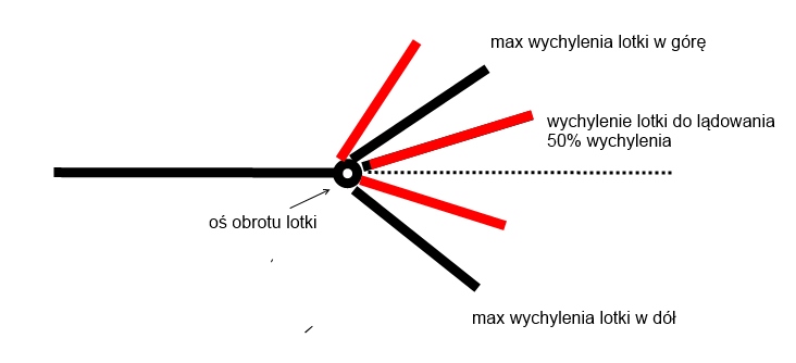 lotki.jpg
