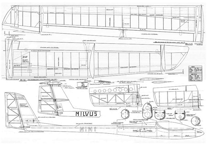 Milvus 2.jpg