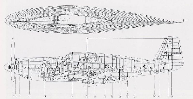 P-51D.jpg
